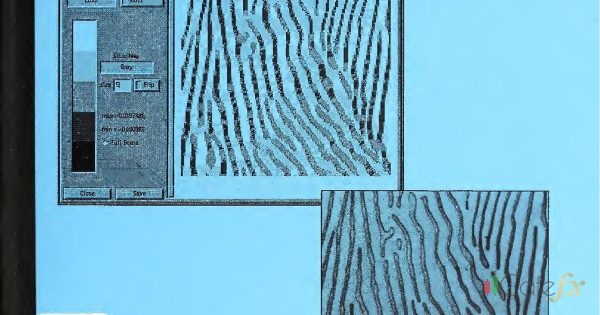 Divergence คืออะไร ใช้จับจุดกลับตัวยังไง