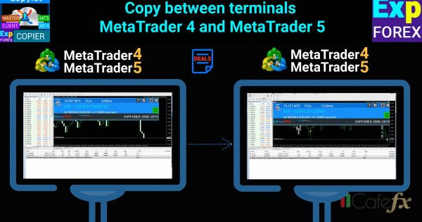 วิธี Copy MT4 รันหลายบัญชีพร้อมกัน