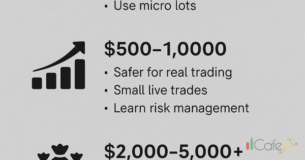 Lot Size คืออะไร คำนวณยังไง ทุนเท่าไหร่เปิดเท่าไหร่