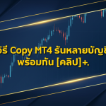 copy mt4 multiple accounts cover 1