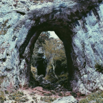 EA Trading คืออะไร? คู่มือฉบับสมบูรณ์สำหรับการเทรด Forex อัตโนมัติ 2026