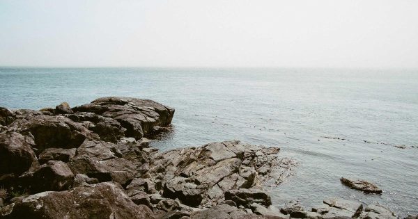 ตารางปิ้นพอร์ตForex คำนวณกำไรทบต้น 2026