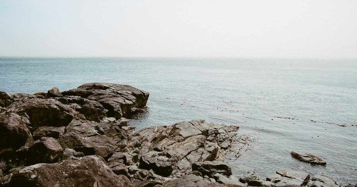 ตารางปิ้นพอร์ตForex คำนวณกำไรทบต้น 2026