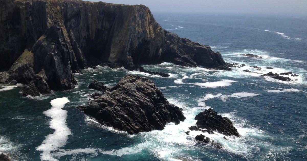 Forex โบรกไหนดี เปรียบเทียบโบรกเกอร์ยอดนิยม 2026