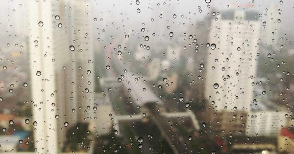 สอนเทรดForex ทีละขั้นตอนจากศูนย์ถึงทำกำไร 2026