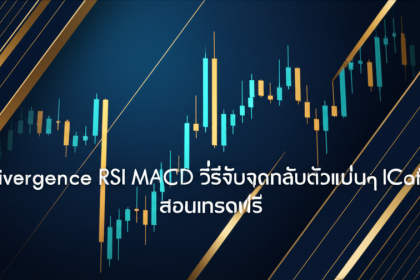 divergence rsi macd reversal signal guide cover 1
