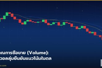 forex-guide-opus-cover.jpg — iCafeForex