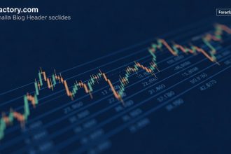 การดูข่าวจาก-forexfactory.com