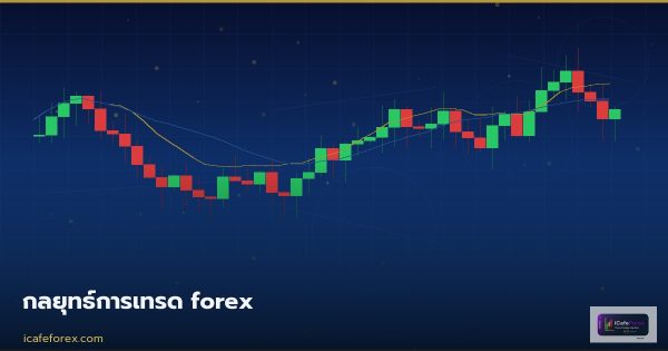 กลยุทธ์การเทรด forex