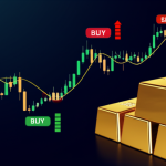 featured_13643_1770166209-1