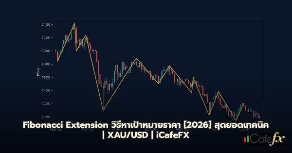 การอ่านกราฟ Forex Price Action คู่มือฉบับสมบูรณ์