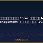 forex risk management money management 2026 cover