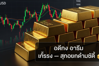 gemini 1770930318 7653