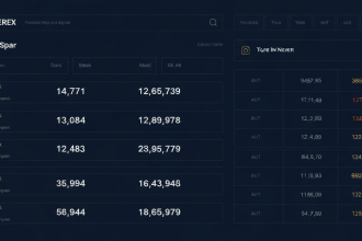 gemini 1770996741 4104