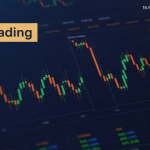 gemini 1771360062 2625