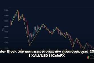 ภาพกราฟิกระบบเทรดออเดอร์บล็อกอธิบายจุดเข้าเทรดและแนวรับแนวต้านบนแท่งเทียนราคา