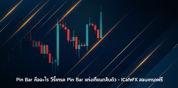 Pin Bar คืออะไร วิธีเทรด Pin Bar ให้ได้กำไรสม่ำเสมอ