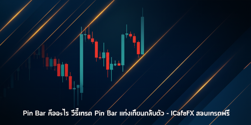 pin bar reversal candlestick trading guide cover 1