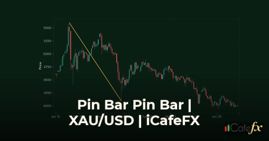ภาพปก Pin Bar คืออะไร วิธีเทรด Pin Bar ให้ได้กำไรสม่ำเสมอ - กราฟเทคนิค iCafeForex