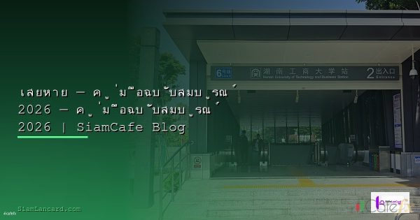 วิธีเลือกคู่เงินที่เหมาะสมสำหรับมือใหม่ [2026]