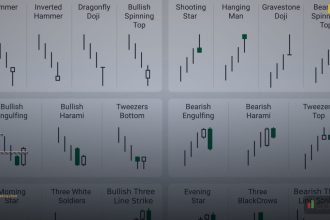 article 4623 2026 cover 1
