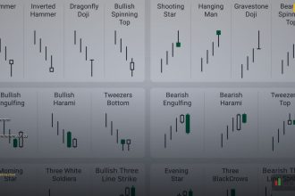 article 8804 2026 cover 1