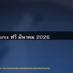 สัญญาณ Forex ฟรี มีนาคม 2026