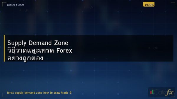 Supply Demand Zone วิธีวาดและเทรด Forex อย่างถูกต้อง