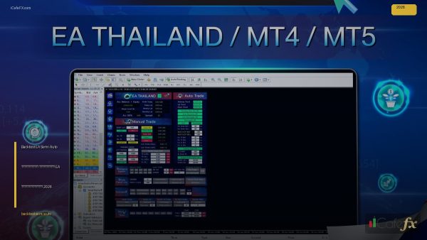 Backtest EA Semi Auto อย่างถูกวิธี คู่มือทดสอบ EA