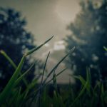 basics patterns cover 1