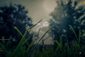 basics patterns cover 1