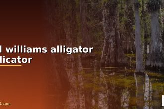 bill williams alligator indicator cover 3