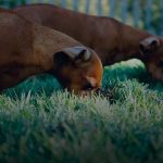 break of structure bos signals cover 1