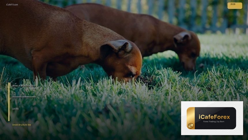 break of structure bos signals cover 1