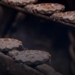 candlestick basics patterns cover 1