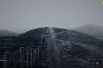 candlestick price types cover 1