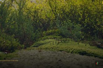 chart pattern trading cover 1