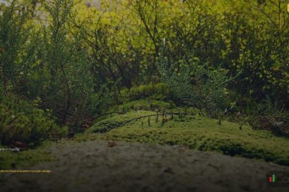 chart pattern trading cover 1