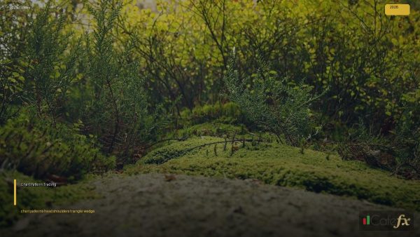 แพทเทิลกราฟ — คู่มือฉบับสมบูรณ์ 2026 สำหรับเทรดเดอร์ไทย