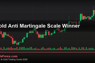 cover gold anti martingale scale winner v75 2569 2