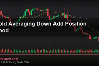 cover gold averaging down add position good v44 2569 2