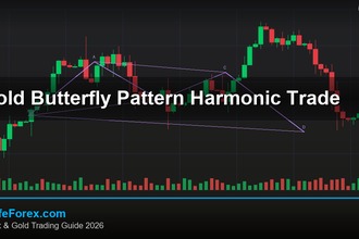 cover gold butterfly pattern harmonic trade v68 2569 2