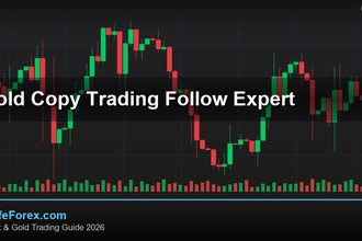 cover gold copy trading follow expert v70 2569 2