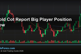 cover gold cot report big player position how v41 2569 2
