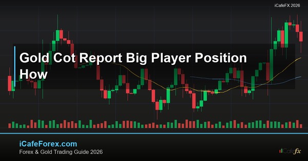 ทองคำ COT Report รายงานสถานะผู้เล่นรายใหญ่ยังไง XAU 2569