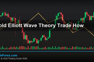 cover gold elliott wave theory trade how v62 2569 2
