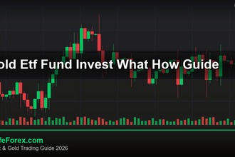 cover gold etf fund invest what how guide v43 2569 2