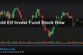 cover gold etf invest fund stock how v58 2569 2