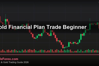 cover gold financial plan trade beginner v58 2569 2