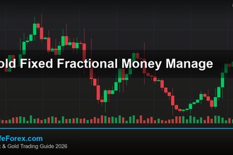 cover gold fixed fractional money manage v66 2569 2